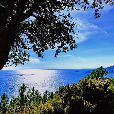 Garden Level With Sea View For 6 People Villa *
